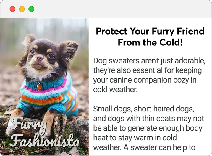 Website that explains why sweaters are beneficial for dogs